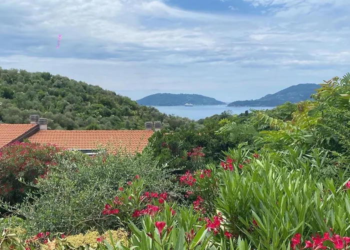 Oasi 1 * Lerici